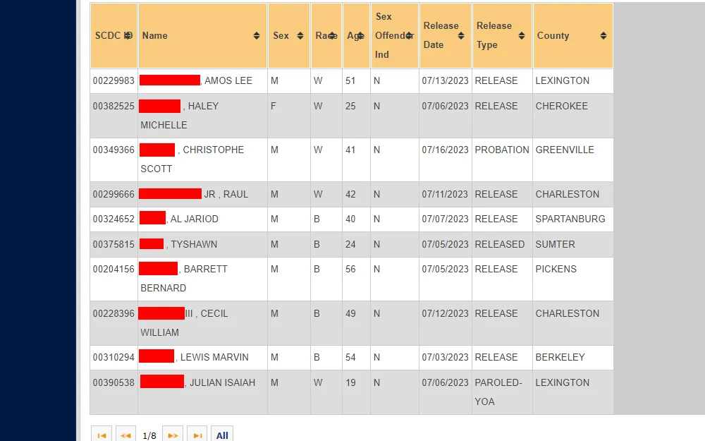 A screenshot of the sample search result when one searches through the SCDC Released Inmate Search Tool that provides the list of released individuals with their details such as their SCDC ID#, name, sex, race, age, release date, release type, and county name. 