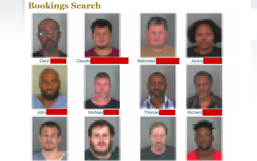 A screenshot of the booking search page of Spartanburg County Sheriff's Office, showing booking photos, with their names listed below each image.